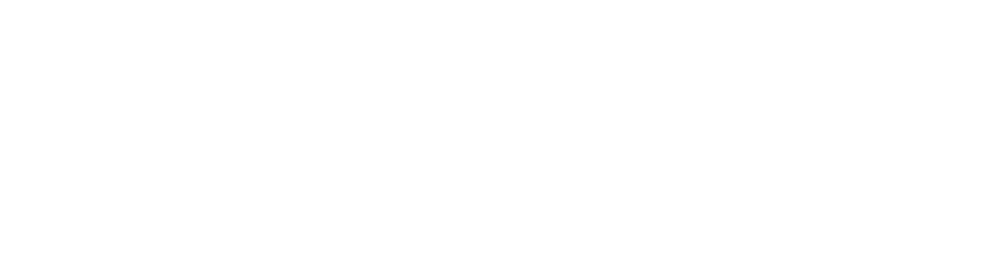 Norg.ai